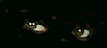 zgio-de-ojos.gif (3025 bytes)